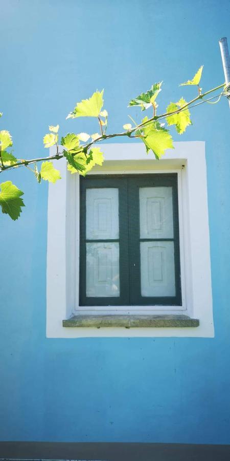 Le Cernicole Villa Melissano Екстериор снимка
